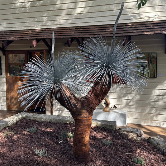 Grass Tree XV