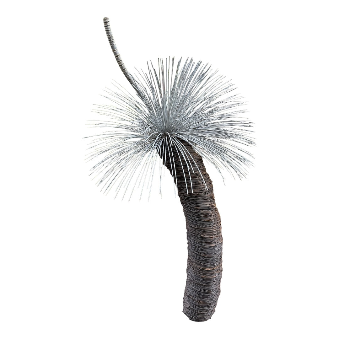 Grass Tree - Single Large