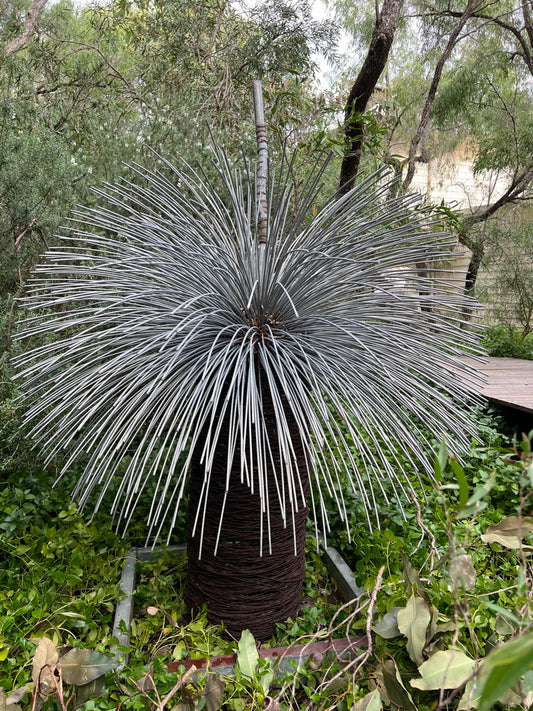 Grass Tree Sculpture - Single Small