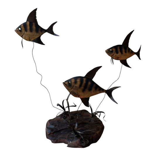 Three Olive Wives on a Reef