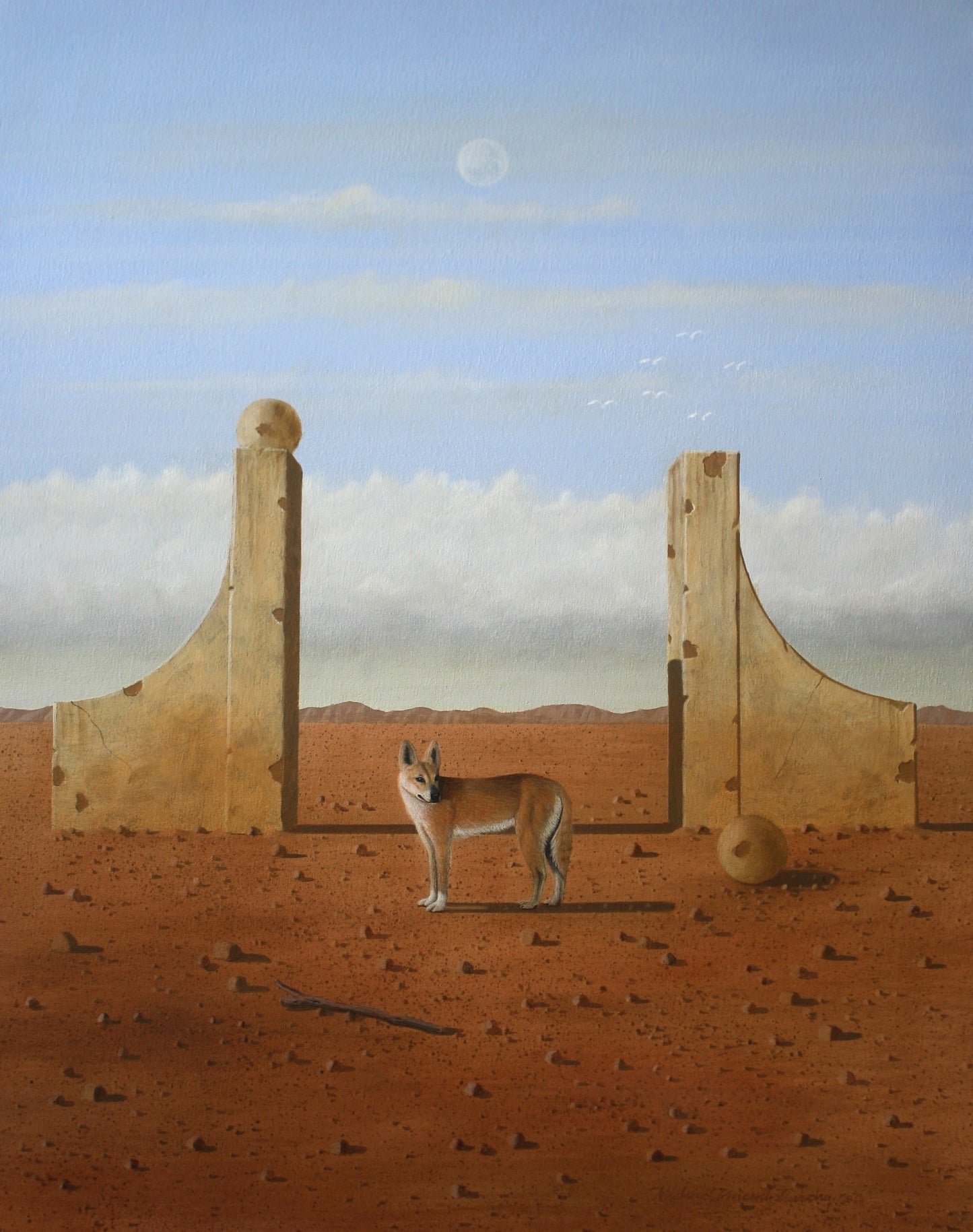 Desert Wanderer