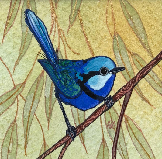 Splendid Fairy Wren II - Light Blue 2026