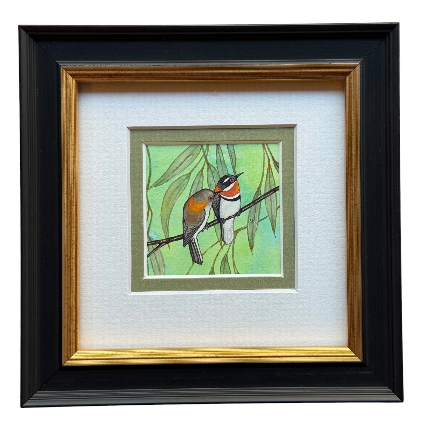 Western Spinebill Duo - Olive 2026