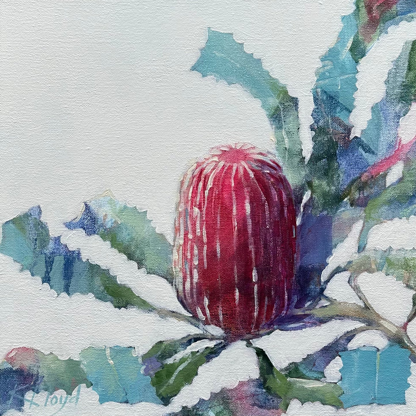 Banksia Dreams