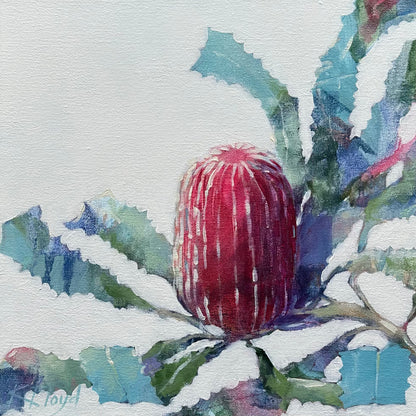 Banksia Dreams