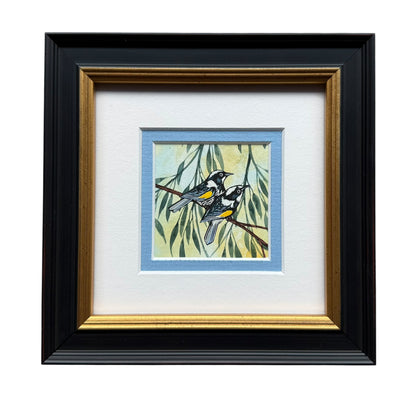 New Holland Honeyeater II - Summer 2026