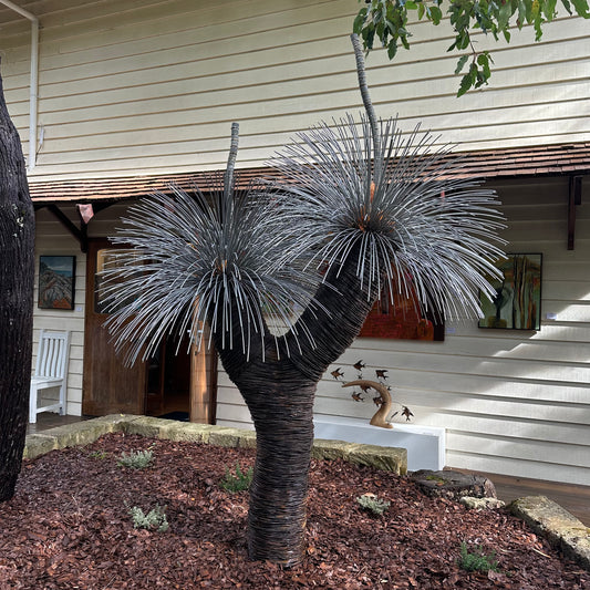 Grass Tree XVI