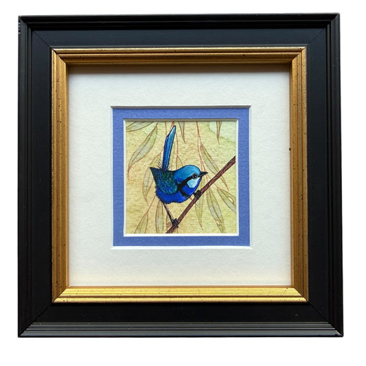 Splendid Fairy Wren I - Light Blue 2026