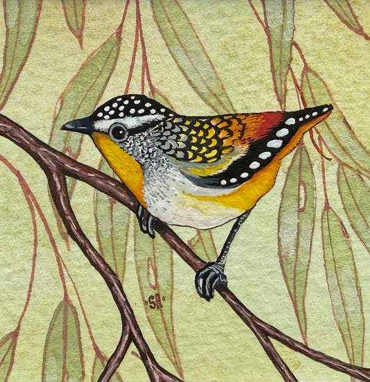 Spotted Paradalote - Forest Green 2026