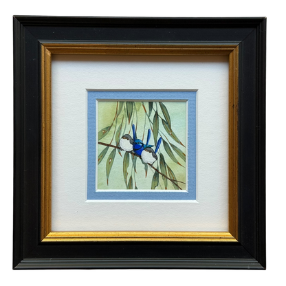 Splendid Fairy Wren II Trio 2026