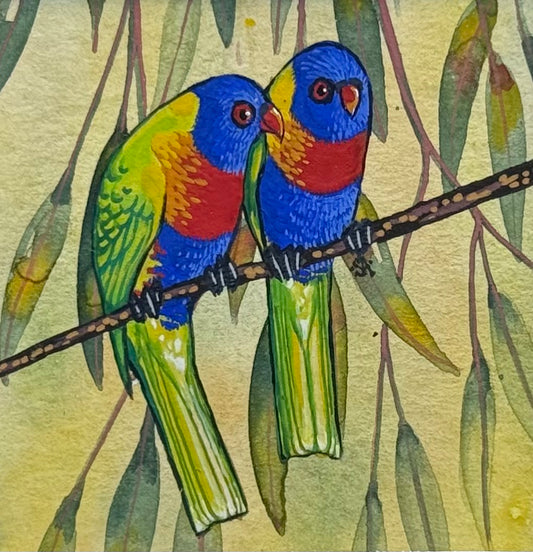 Rainbow Lorikeet - Olive 2026