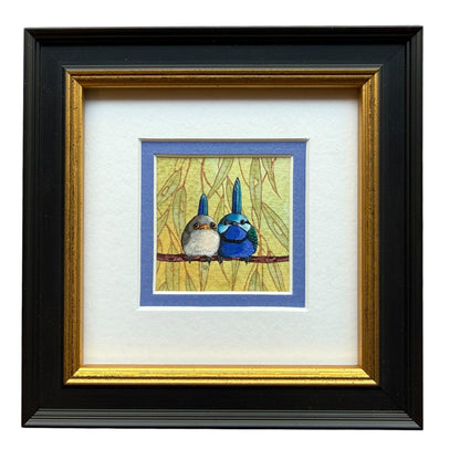 Splendid Fairy Wren Duo - Light Blue 2026