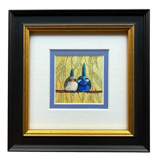 Splendid Fairy Wren Duo - Light Blue 2026