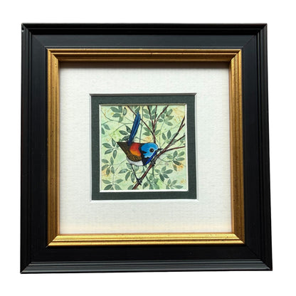 Variegated Fairy Wren - Dark Green 2026