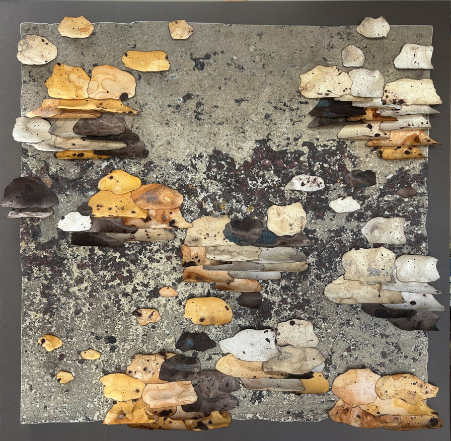 What Grows After | O que cresce depois - Confluence Exhibition