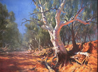 Gascoyne Gums, Landor Station