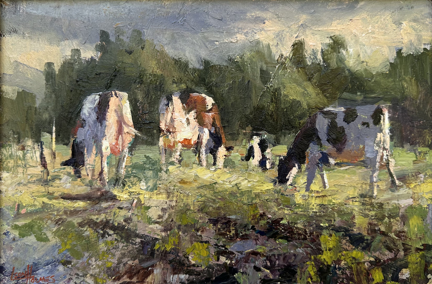 Sun Grazers