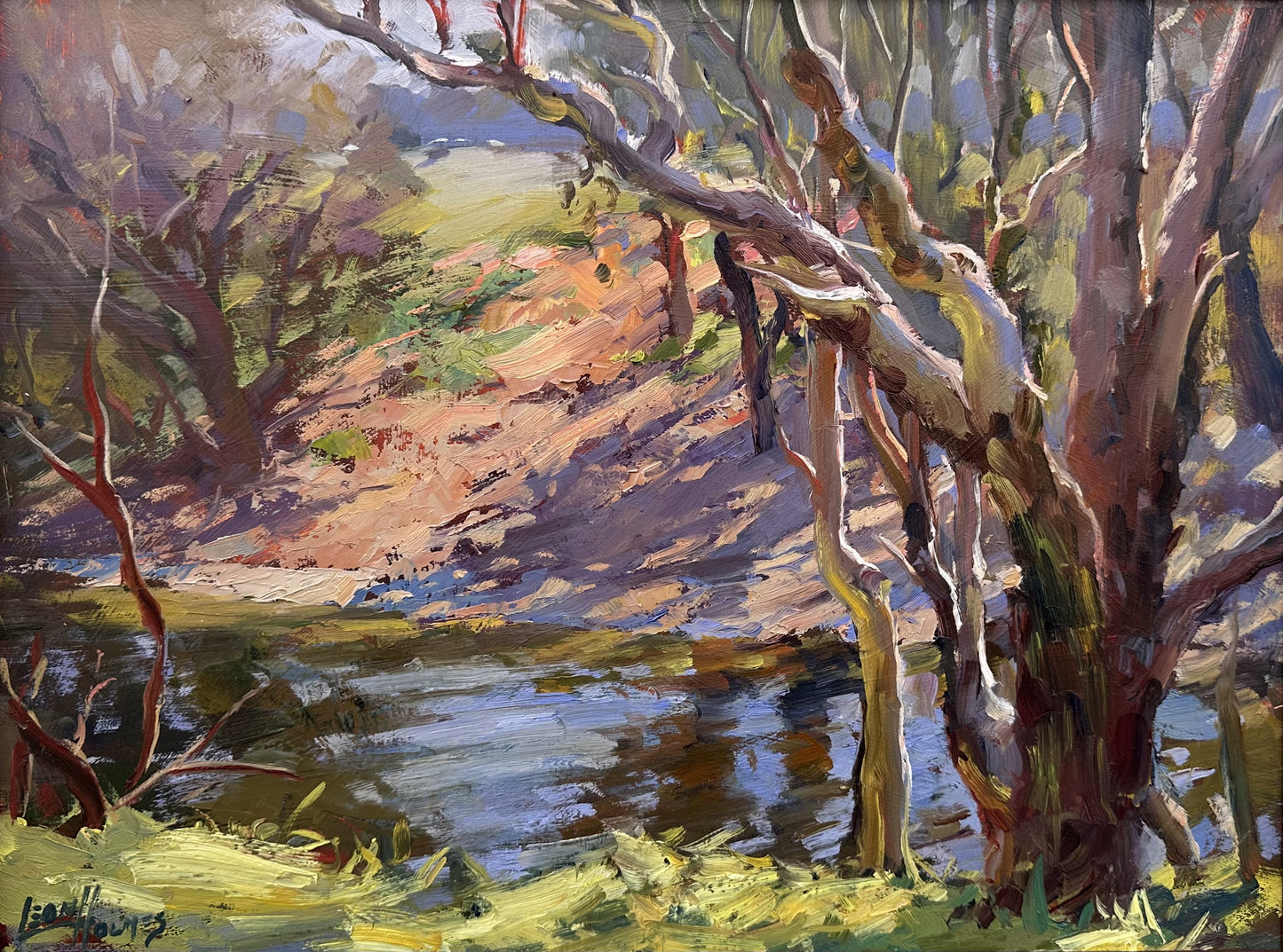Pinjarra Banks