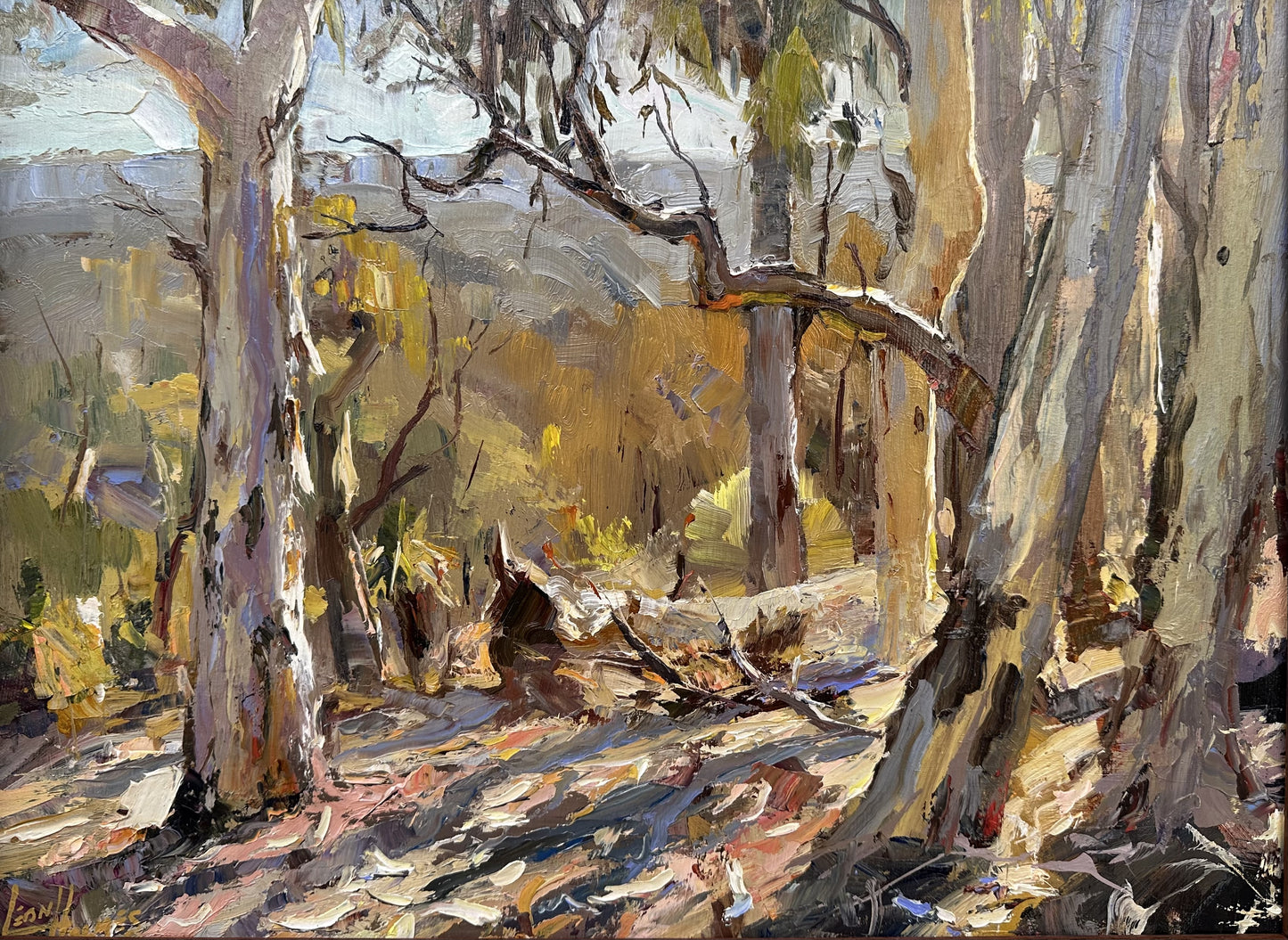 Wandoo Land
