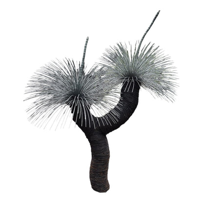 Grass Tree VI