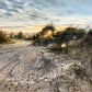 Morning Light - Easter 2025