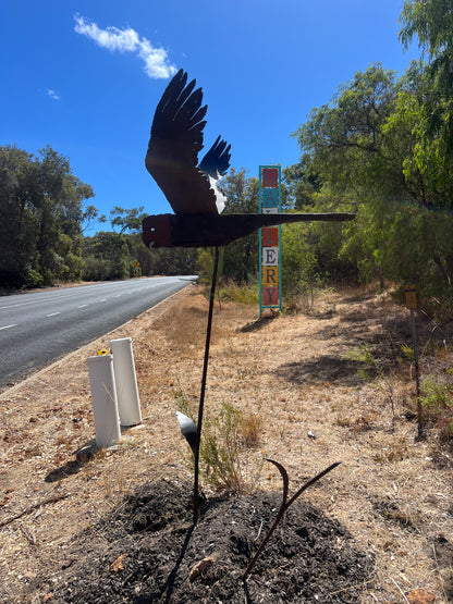 Goliath Cockatoo on the Move Series