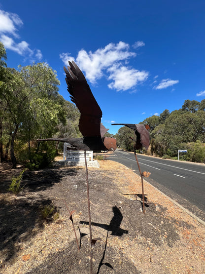 Goliath Cockatoo on the Move Series