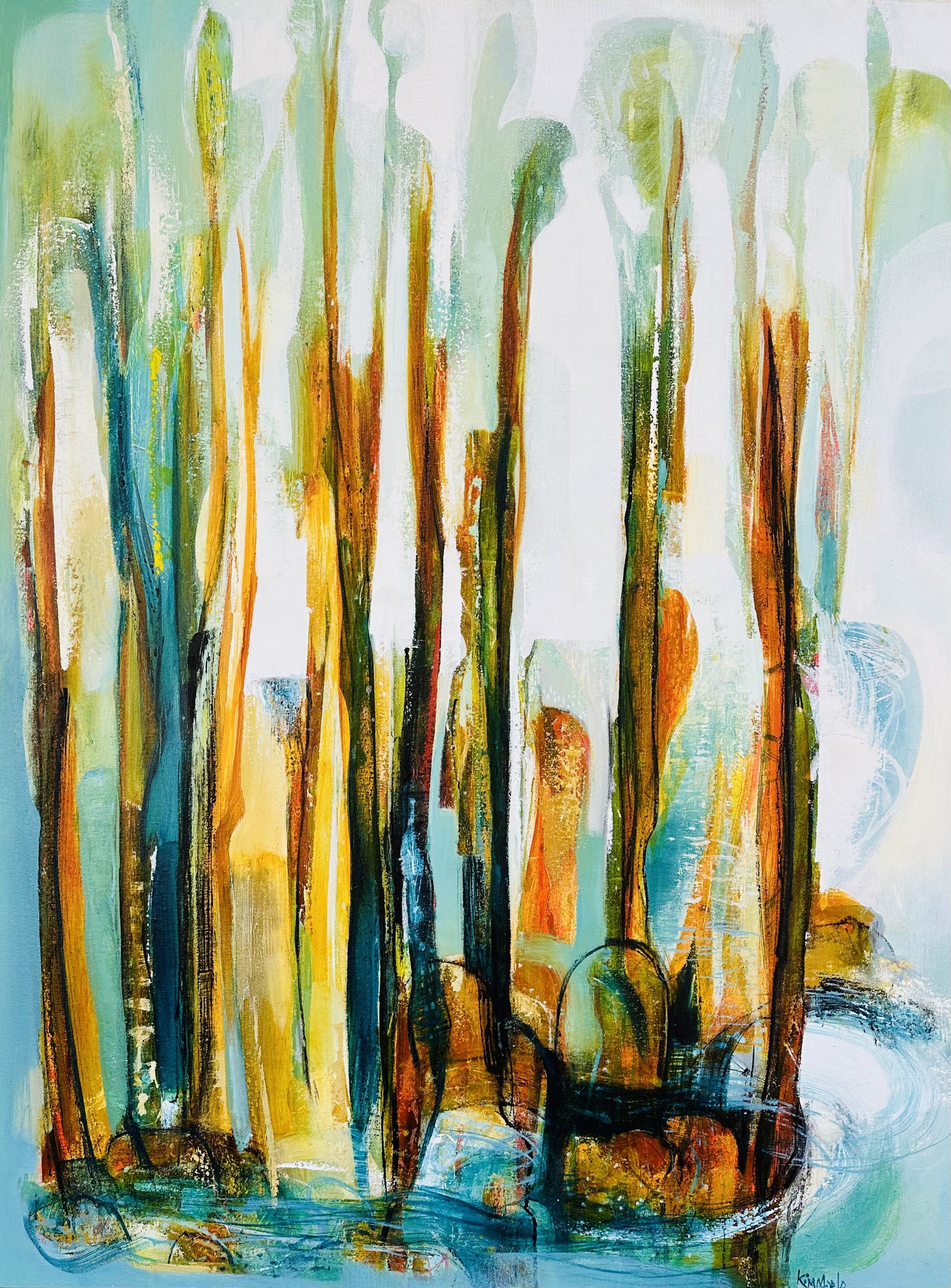 Morning Light in the Forest