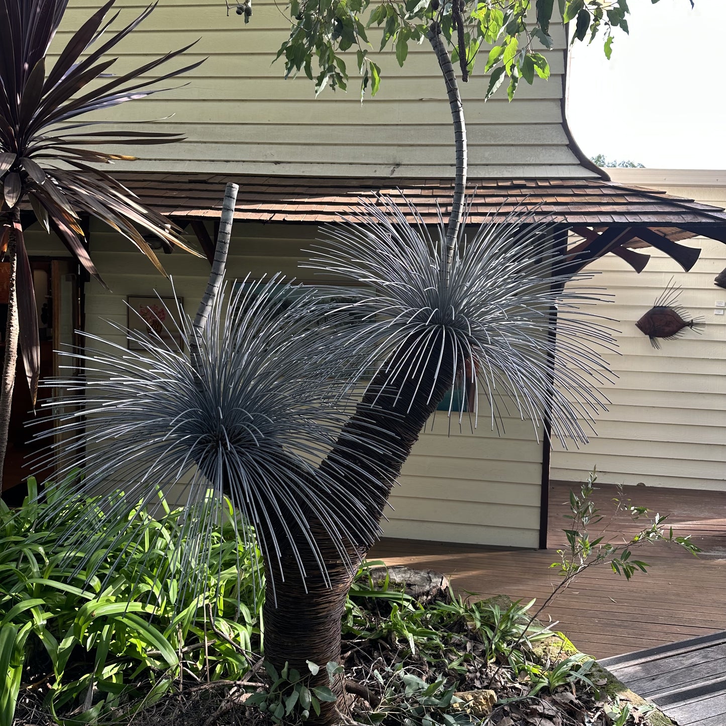 Grass Tree X