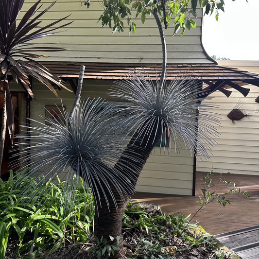Grass Tree X
