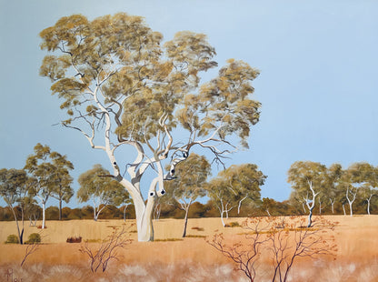 Karijini Snappy Gum 9