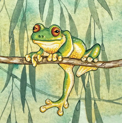 Green Tree Frog 2  - Winter 2025