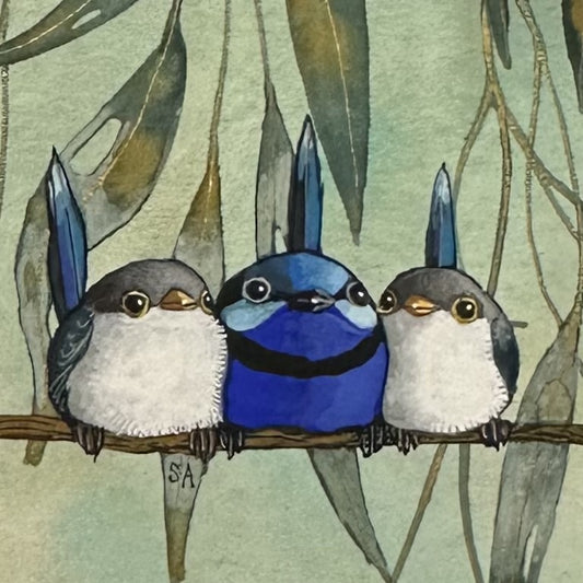 Splendid Fairy Wren Trio Green Background - Spring 2025