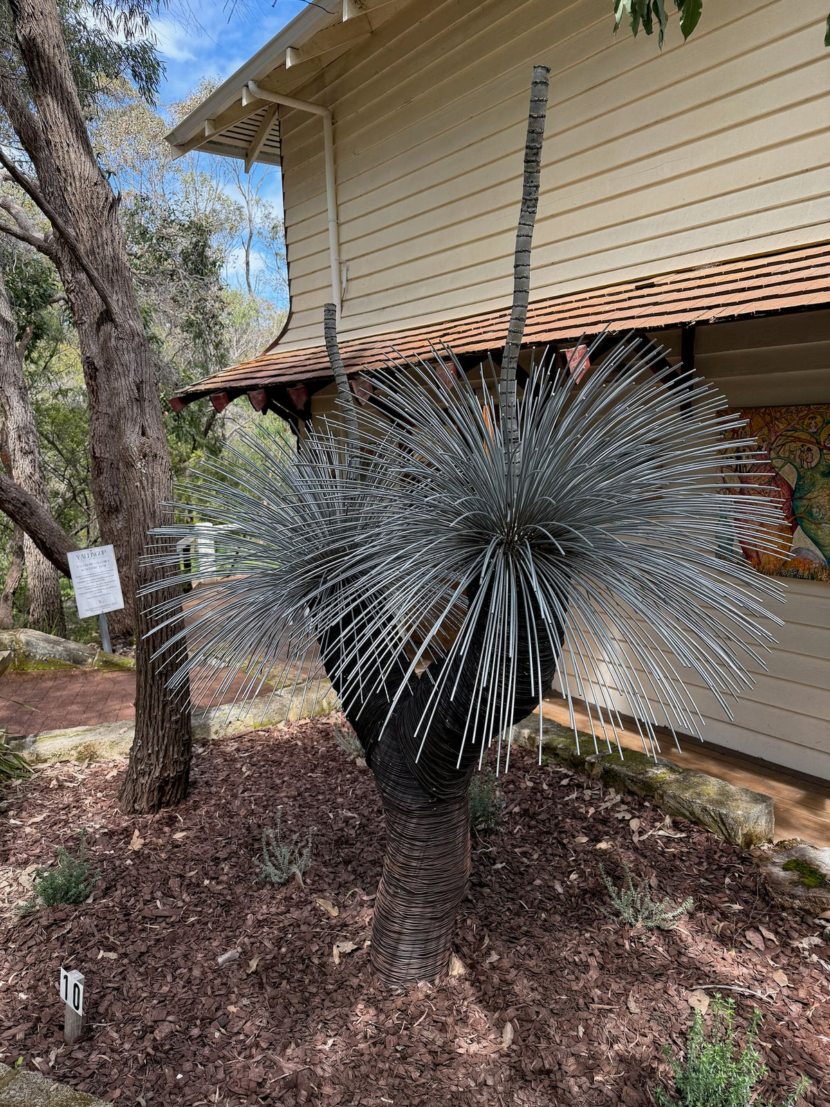 Grass Tree XIX