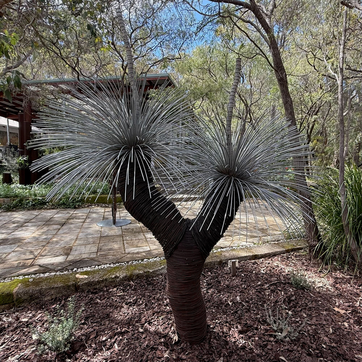 Grass Tree XIX
