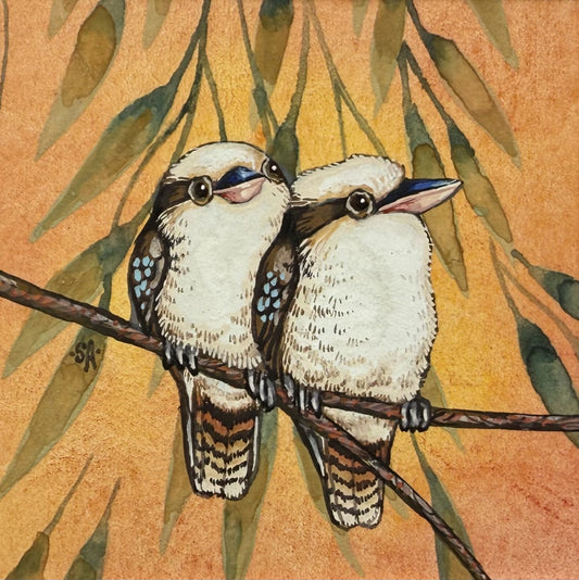 Kookaburra - Spring II 2025