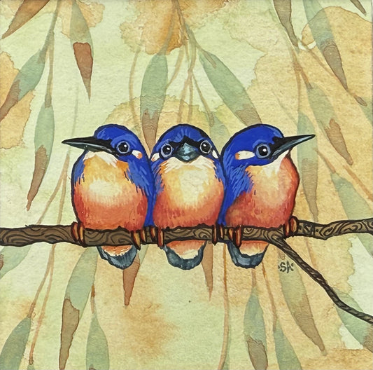 Kingfisher Trio - Spring II 2025