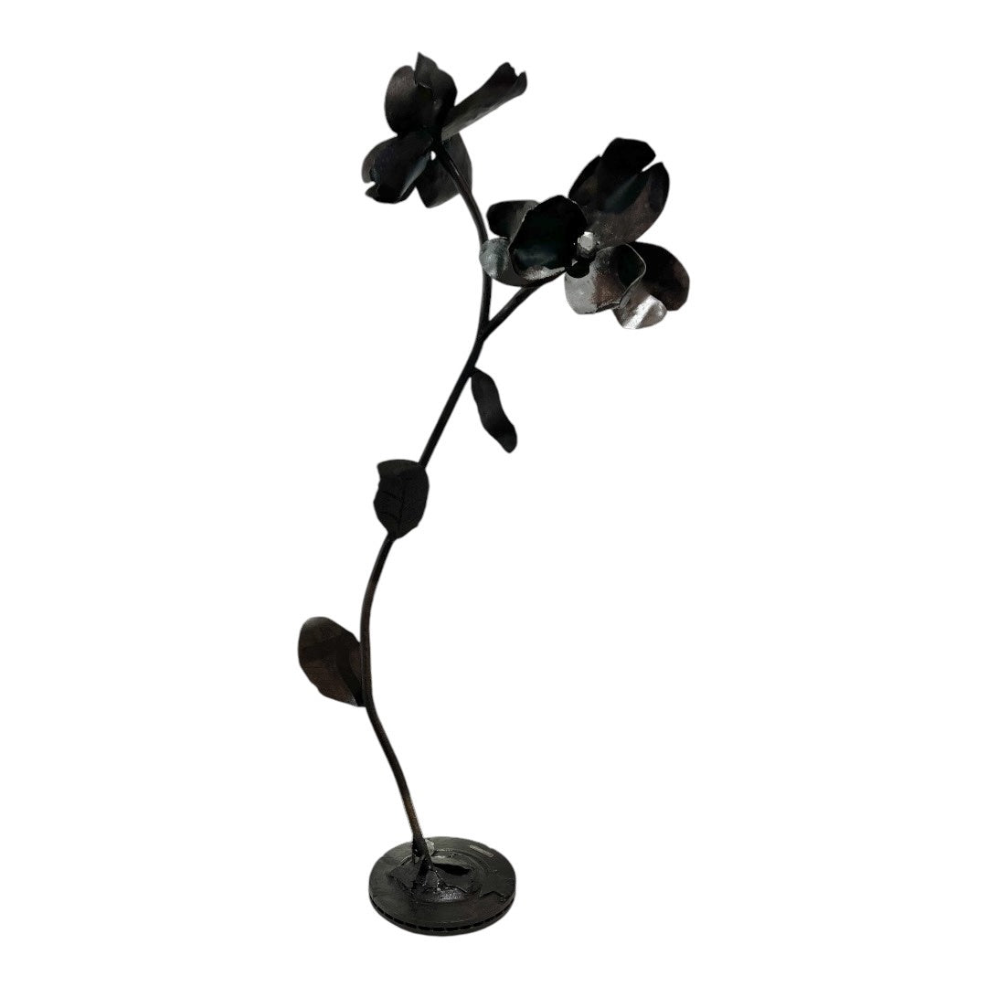 Double Bloom - MRROS 2024