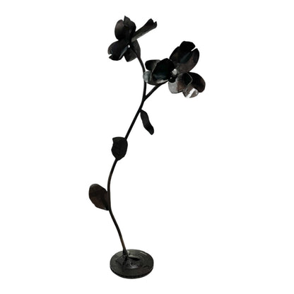 Double Bloom - MRROS 2024