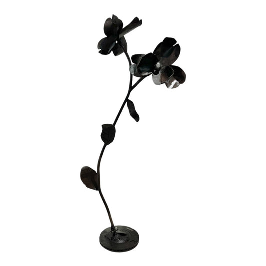 Double Bloom - MRROS 2024