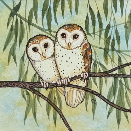 Barn Owl Pair - Summer 2025