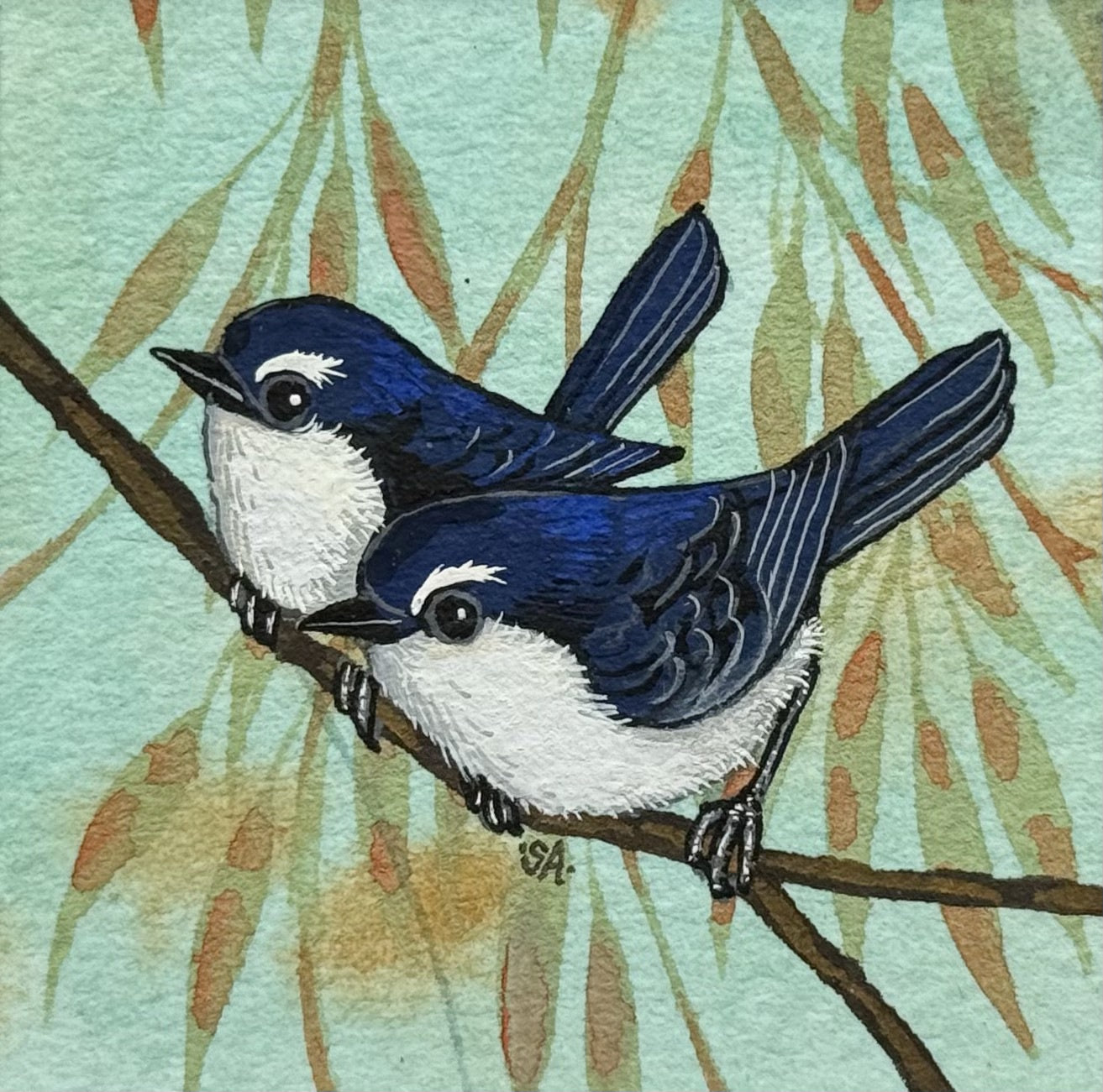 Willy WagTail Pair - Summer 2025