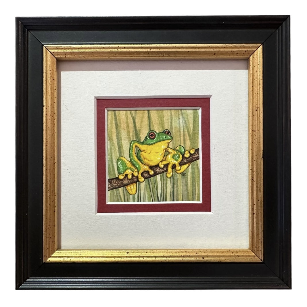 Green Tree Frog D