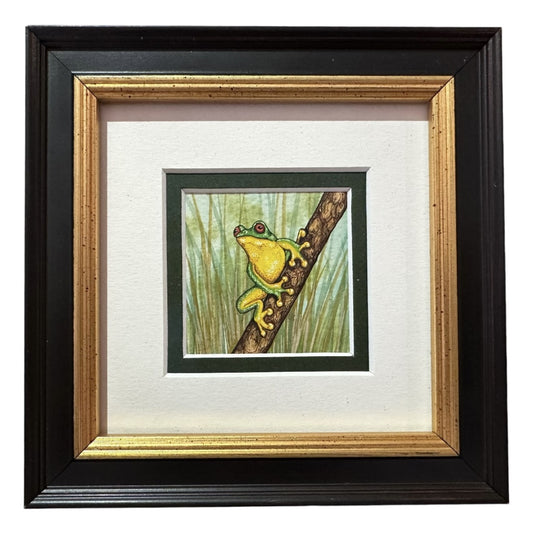 Green Tree Frog C
