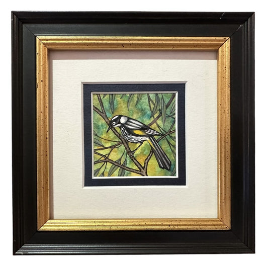 New Holland Honeyeater A