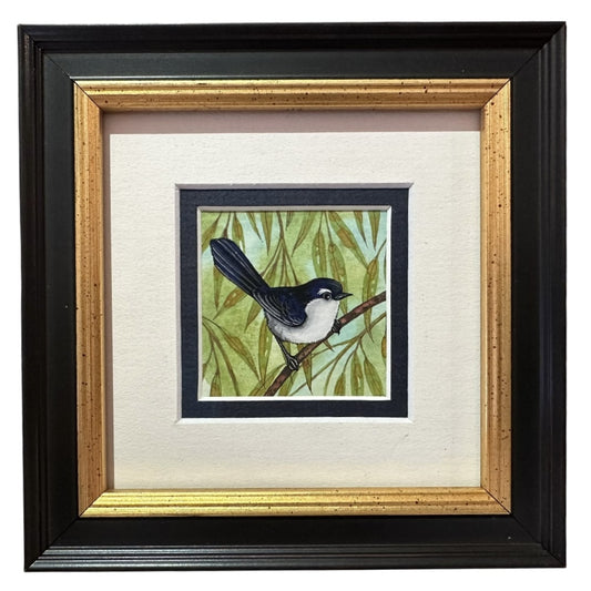 Willy Wagtail C