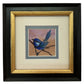 Splendid Fairy Wren - Summer Single