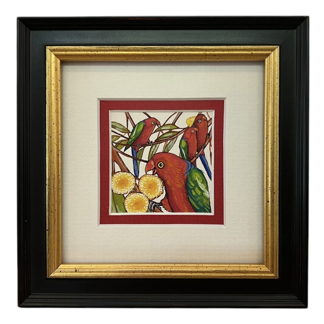King Parrot - Summer