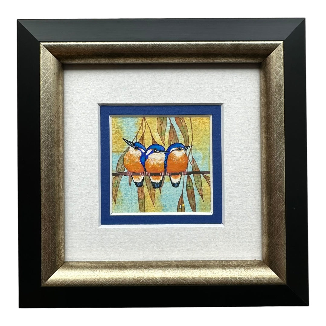 Three Kingfishers - Winter 2025