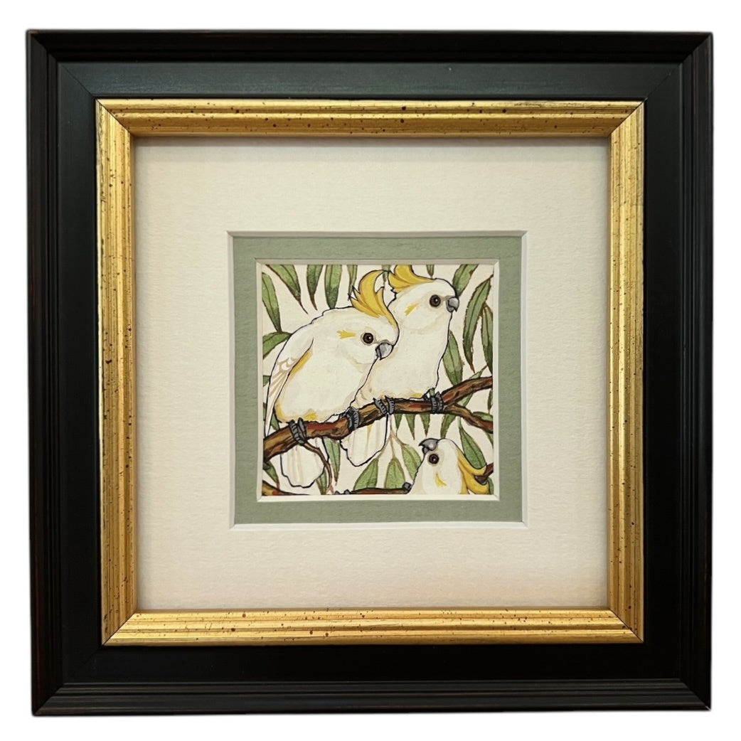 Sulphur Crested Cockatoo - Summer
